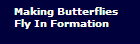 Making Butterflies 

Fly In Formation